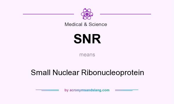 What does SNR mean? It stands for Small Nuclear Ribonucleoprotein