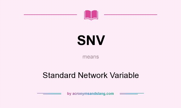What does SNV mean? It stands for Standard Network Variable