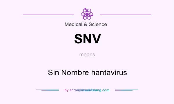 What does SNV mean? It stands for Sin Nombre hantavirus