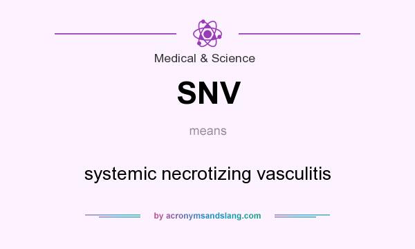 What does SNV mean? It stands for systemic necrotizing vasculitis