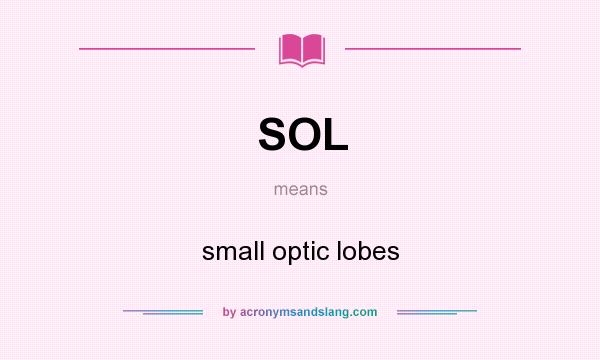 What does SOL mean? It stands for small optic lobes