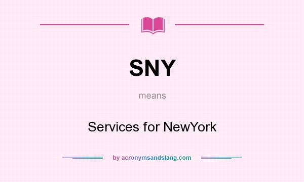 What does SNY mean? It stands for Services for NewYork