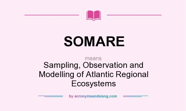 What does SOMARE mean? It stands for Sampling, Observation and Modelling of Atlantic Regional Ecosystems