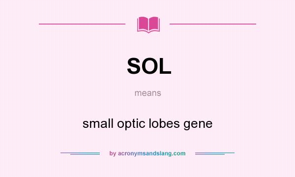 What does SOL mean? It stands for small optic lobes gene