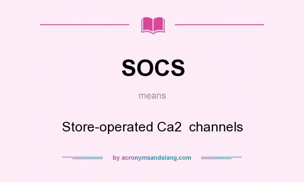 What does SOCS mean? It stands for Store-operated Ca2  channels