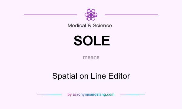What does SOLE mean? It stands for Spatial on Line Editor