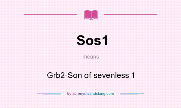 What does Sos1 mean? It stands for Grb2-Son of sevenless 1