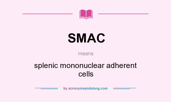 What does SMAC mean? It stands for splenic mononuclear adherent cells