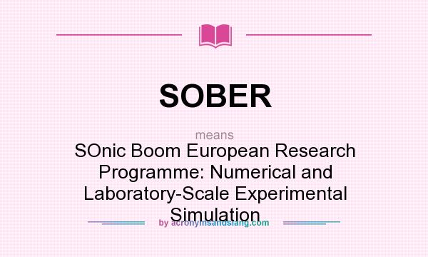 What does SOBER mean? It stands for SOnic Boom European Research Programme: Numerical and Laboratory-Scale Experimental Simulation