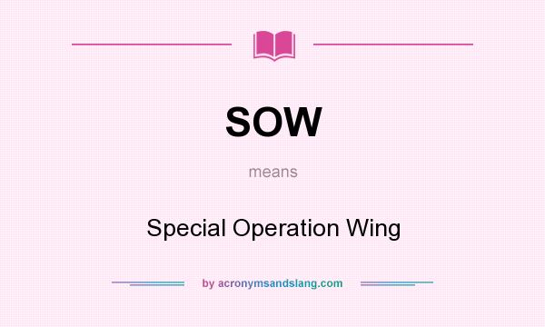 What does SOW mean? It stands for Special Operation Wing