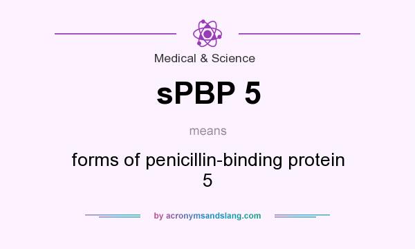 What does sPBP 5 mean? It stands for forms of penicillin-binding protein 5