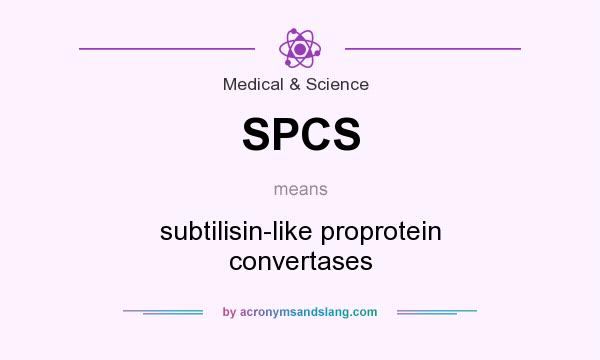 What does SPCS mean? It stands for subtilisin-like proprotein convertases