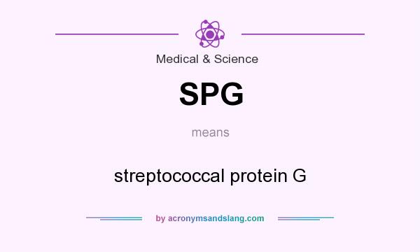 What does SPG mean? It stands for streptococcal protein G
