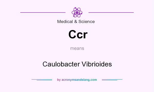 What does Ccr mean? It stands for Caulobacter Vibrioides