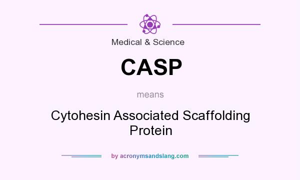 What does CASP mean? It stands for Cytohesin Associated Scaffolding Protein