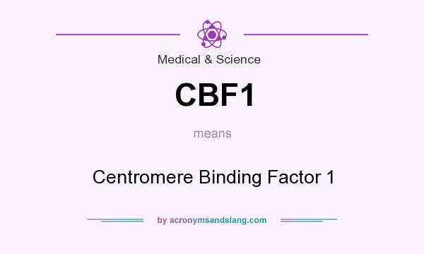 What does CBF1 mean? It stands for Centromere Binding Factor 1