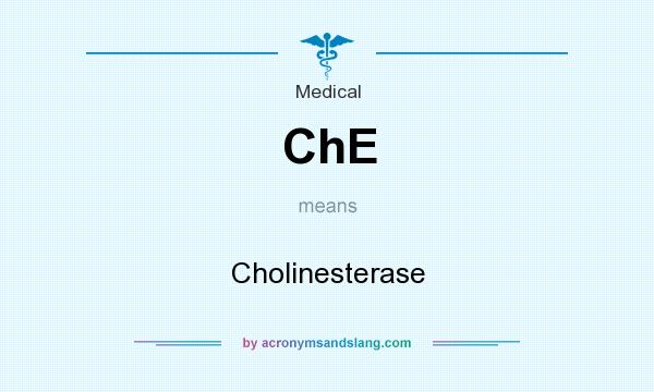 What does ChE mean? It stands for Cholinesterase