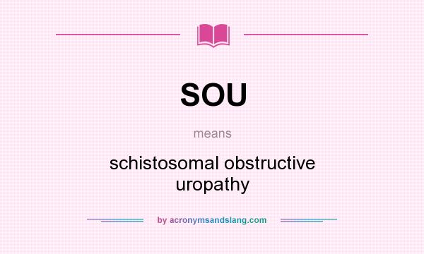 What does SOU mean? It stands for schistosomal obstructive uropathy