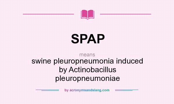What does SPAP mean? It stands for swine pleuropneumonia induced by Actinobacillus pleuropneumoniae