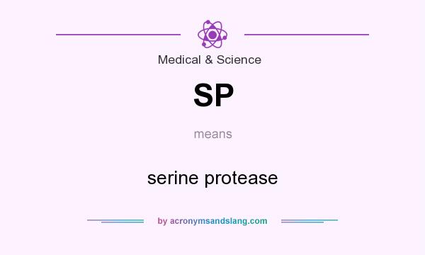 What does SP mean? It stands for serine protease