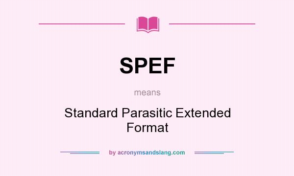 What does SPEF mean? It stands for Standard Parasitic Extended Format