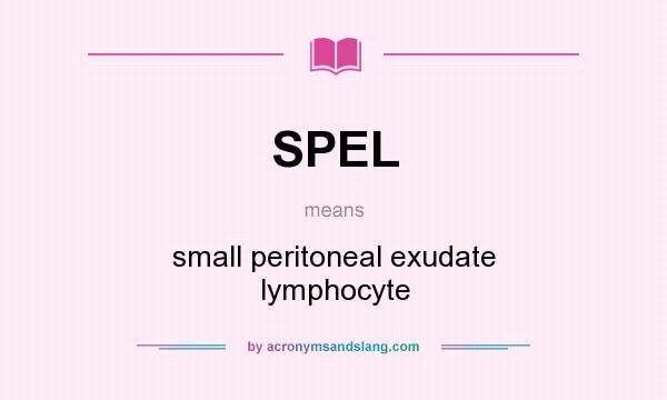 What does SPEL mean? It stands for small peritoneal exudate lymphocyte