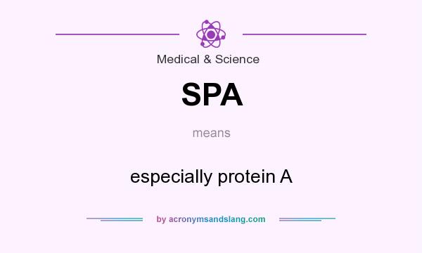What does SPA mean? It stands for especially protein A