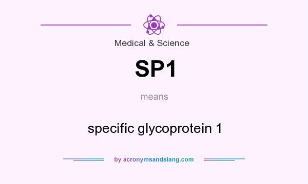 What does SP1 mean? It stands for specific glycoprotein 1