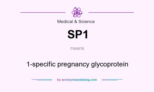 What does SP1 mean? It stands for 1-specific pregnancy glycoprotein