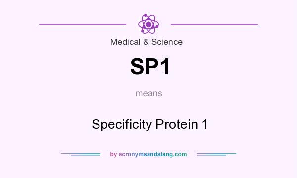 What does SP1 mean? It stands for Specificity Protein 1
