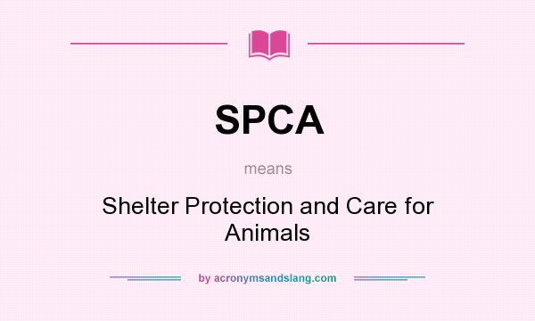 What does SPCA mean? It stands for Shelter Protection and Care for Animals