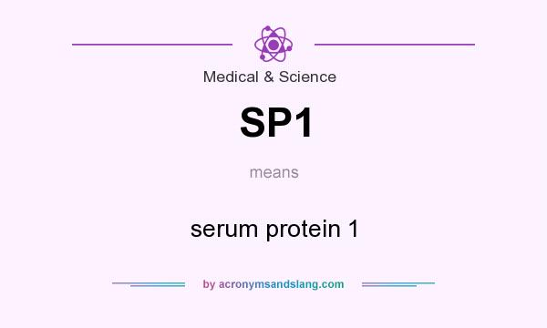 What does SP1 mean? It stands for serum protein 1