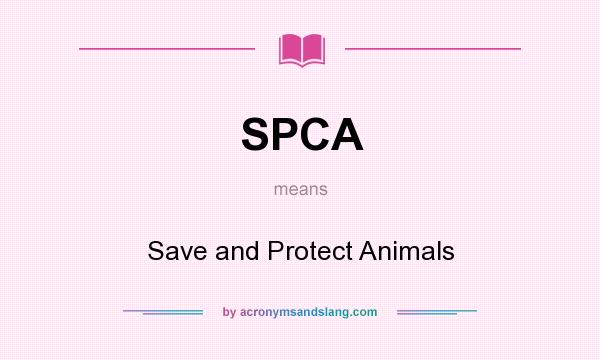 What does SPCA mean? It stands for Save and Protect Animals