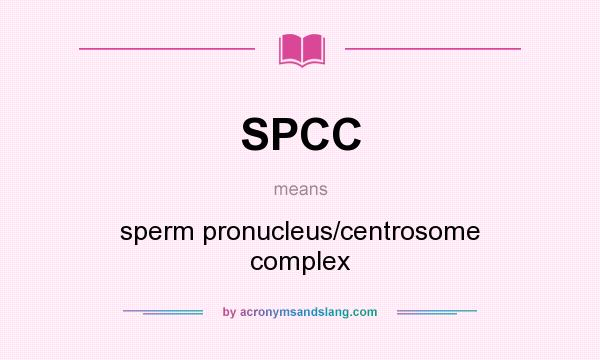 What does SPCC mean? It stands for sperm pronucleus/centrosome complex