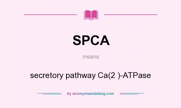 What does SPCA mean? It stands for secretory pathway Ca(2 )-ATPase