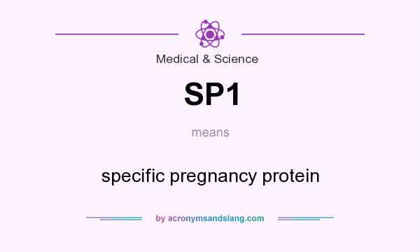 What does SP1 mean? It stands for specific pregnancy protein