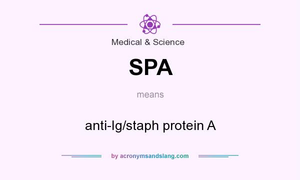 What does SPA mean? It stands for anti-Ig/staph protein A
