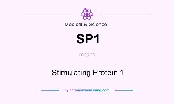 What does SP1 mean? It stands for Stimulating Protein 1
