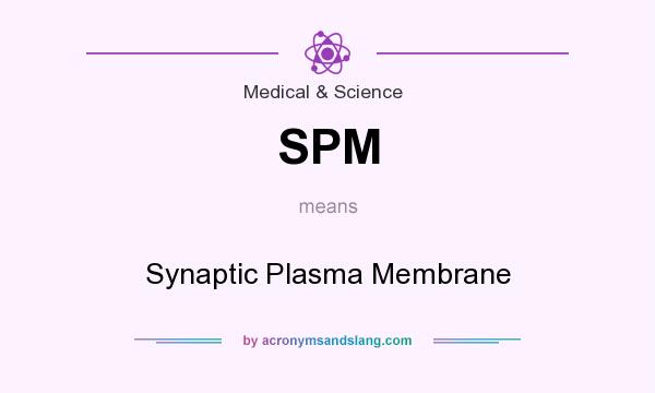 What does SPM mean? It stands for Synaptic Plasma Membrane