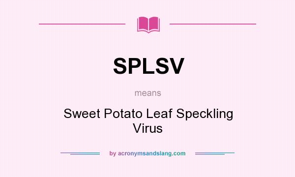 What does SPLSV mean? It stands for Sweet Potato Leaf Speckling Virus