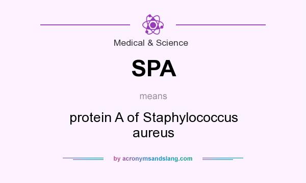 What does SPA mean? It stands for protein A of Staphylococcus aureus
