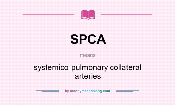 What does SPCA mean? It stands for systemico-pulmonary collateral arteries