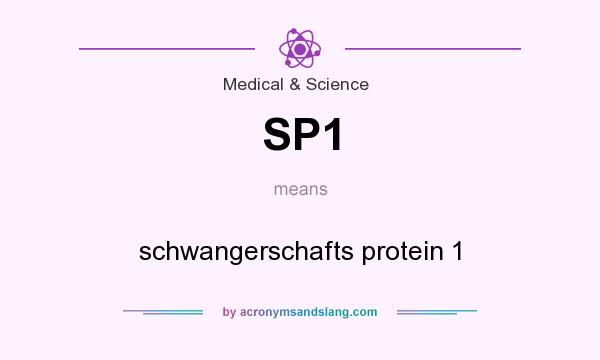 What does SP1 mean? It stands for schwangerschafts protein 1