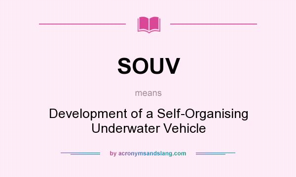 What does SOUV mean? It stands for Development of a Self-Organising Underwater Vehicle