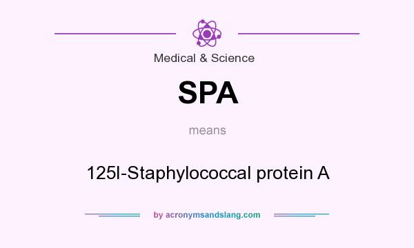 What does SPA mean? It stands for 125I-Staphylococcal protein A