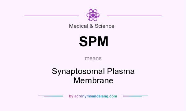 What does SPM mean? It stands for Synaptosomal Plasma Membrane