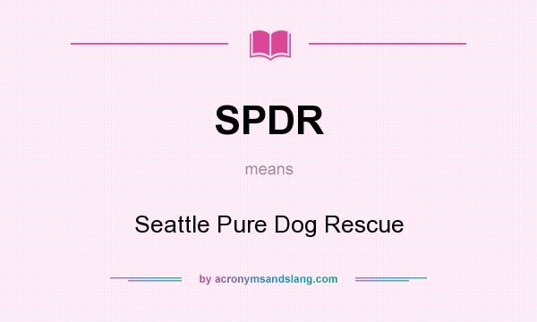 What does SPDR mean? It stands for Seattle Pure Dog Rescue