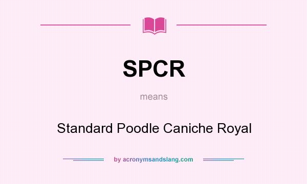 What does SPCR mean? It stands for Standard Poodle Caniche Royal