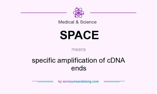 What does SPACE mean? It stands for specific amplification of cDNA ends