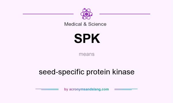 What does SPK mean? It stands for seed-specific protein kinase